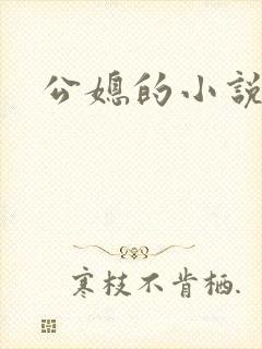 公媳的小说