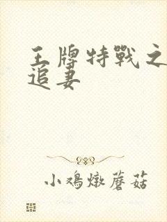 王牌特战之军少追妻