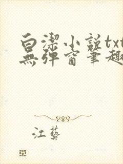 白洁小说txt无弹窗笔趣阁