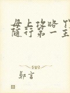 母上攻略 竹影随行第一主板