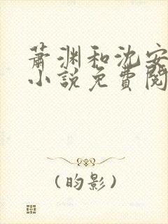 萧渊和沈安安的小说免费阅读