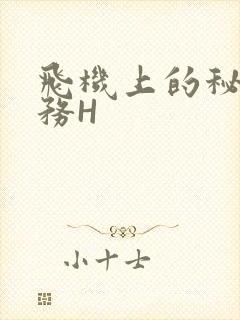 飞机上的秘密服务H