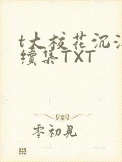 t大校花沉浮录续集TXT