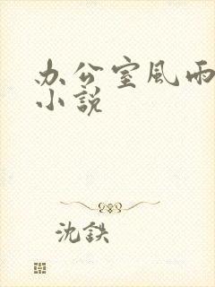 办公室风雨完整小说