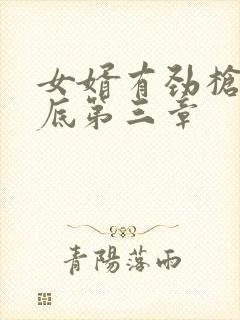 女婿有劲枪枪到底第三章