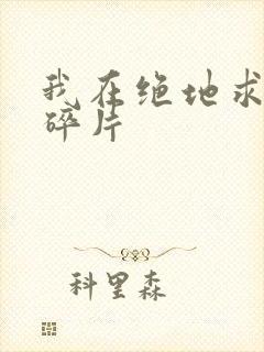 我在绝地求生捡碎片