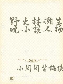 野火林潮生林晚晚小说人物野火