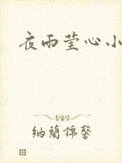 夜雨莹心小说