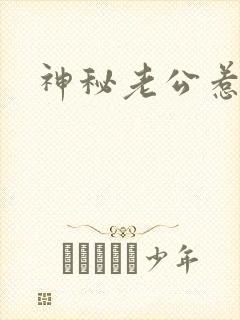 神秘老公惹不起