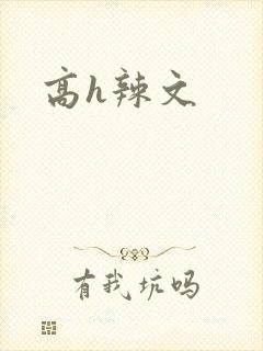 高h辣文