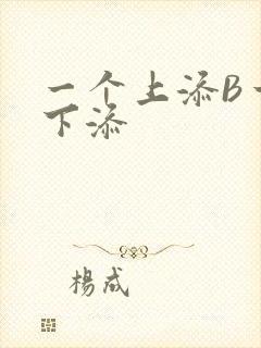 一个上添B一个下添