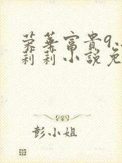 荣华富贵9小王莉莉小说免费阅读