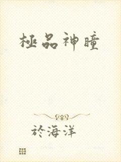 极品神瞳
