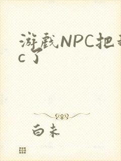 游戏NPC把我c了