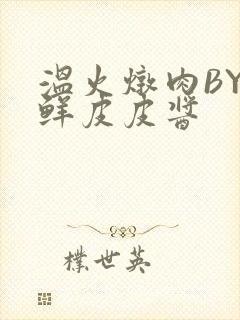 温火炖肉BY海鲜皮皮酱