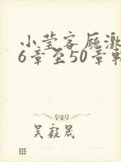 小莹客厅激情46章至50章软件介绍