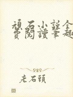 顽石小说全文免费阅读笔趣阁