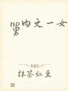np肉文一女多男