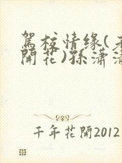 驾校情缘(老树开花)孙潇潇笔趣阁