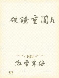 破镜重圆h