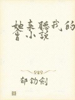 她来听我的演唱会小说