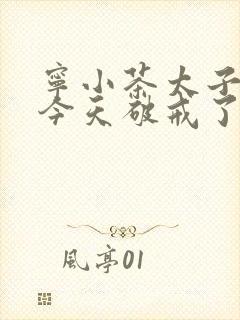 宁小茶太子殿下今天破戒了吗免费阅读