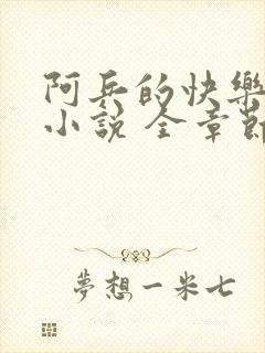 阿兵的快乐生活小说 全章节阅读免费