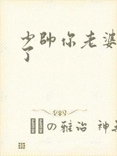 少帅你老婆又跑了