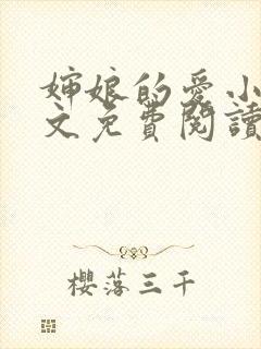 婶娘的爱小说全文免费阅读