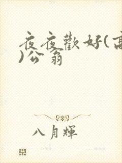 夜夜欢好(高h)公翁
