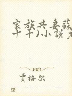 家族共妻苏苏(十千)小说免费