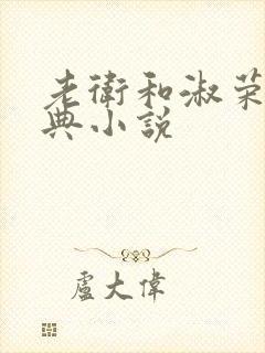 老卫和淑荣的经典小说