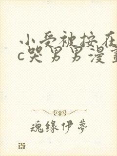 小受被按在墙上c哭男男漫画