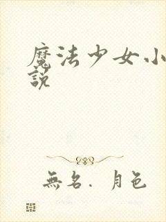 魔法少女小圆小说