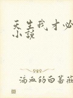 天生我才必有用小说