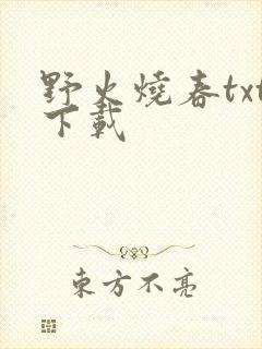 野火烧春txt下载