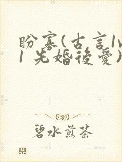 盼寡(古言1v1 先婚后爱)