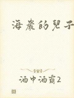 海岩的儿子