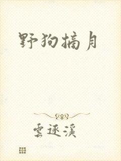 野狗摘月