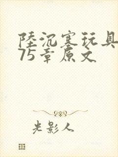 陆沉塞玩具高速75章原文