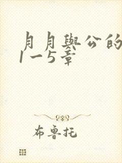 月月与公的激情1一5章