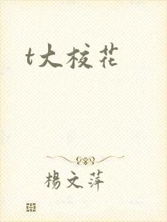 t大校花