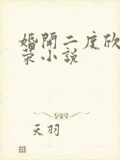 婚开二度欣欣向荣小说