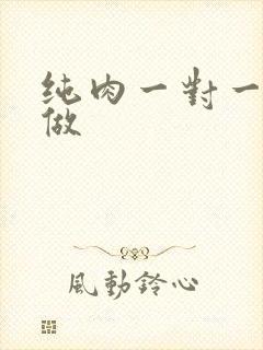 纯肉一对一到处做