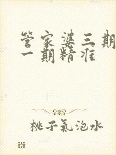 管家婆三期必开一期精准
