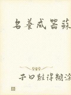 名养成器苏沫沫