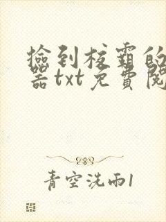 捡到校霸的遥控器txt免费阅读