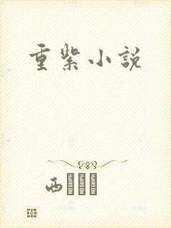 重紫小说