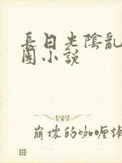 长日光阴乱作一团小说