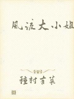 风流大小姐